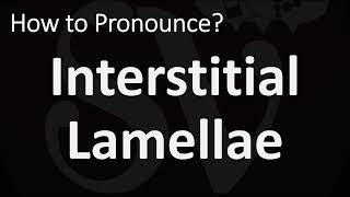 How to Pronounce Interstitial Lamellae CORRECTLY [upl. by Valerio]