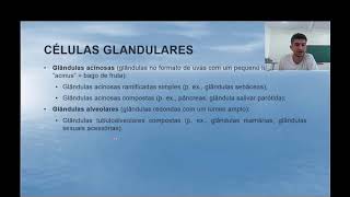 Células Glandulares Cavidades do Corpo [upl. by Terraj]