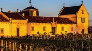 Château La Mission HautBrion Direct From The Cellars [upl. by Tatman852]