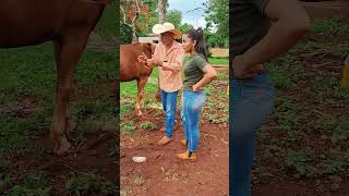 Deu certo fazenda roca vidanaroça sitio nature videoengraçado humor coisasderoca comedia [upl. by Patrizio]