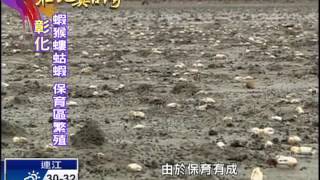 20140720【在地真台灣】彰化「螻蛄蝦」 繁殖保育有成 [upl. by Martine]