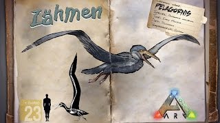 ARK‬ Survival Evolved GUIDEDeutsch  Pelagornis zähmen [upl. by Ahsikel]