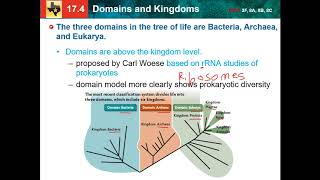 174 domains and kingdoms [upl. by Asereht]