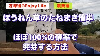 発芽率ほぼ１００％ ほうれん草の種まきの方法 必見 [upl. by Phebe]