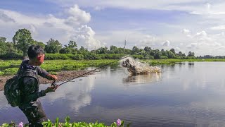 Casting Toman Buas Danau Air Hitam Pedalaman Riau Langsung Dibakar [upl. by Allenotna707]