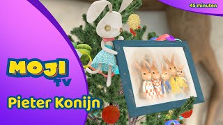 DE LEUKSTE KERST AFLEVERINGEN VAN PIETER KONIJN 🐰  COMPILATIE ✨  Nederlandse Kinderseries  MojiTV [upl. by Eiderf512]