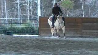 First Western Dressage lesson with Eugene Abello [upl. by Judus660]