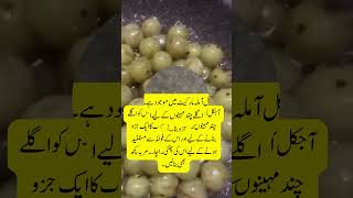 Amazing Benefits of Amla for Health Skin and Hair [upl. by Maloy55]