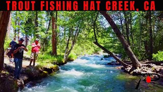 Trout Fishing Californias Hat Creek [upl. by Narak]