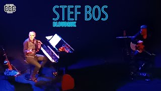 Stef Bos Bloudruk Theatertour 2024 Compilatie [upl. by Daggna]