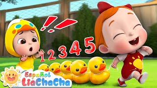 Cinco Patitos🦆  Contando Patitos  LiaChaCha en Español  Canciones Infantiles [upl. by Darill116]