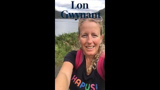 Dysgu Cymraeg Am dro ar Lon Gwynant efo isdeitlauwith subtitles [upl. by Ahtikal]