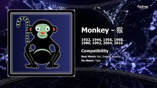 Monkey  Chinese Horoscope  May 2016 [upl. by Teerprah311]