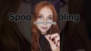 ASMR  Spoolie nibbling there might be a full video like this going live tomorrow night 👀🤫 [upl. by Suhpoelc]