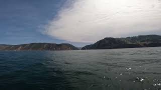 Entrando al puerto de Pasaia en barco [upl. by Onafets]