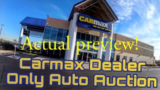 Carmax auction actual preview 1142023 [upl. by Kirkwood418]