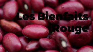 Les Bienfaits des Haricots rouges [upl. by Rudolph]