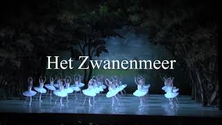 Zwanenmeer Nationale Ballet van Moldavië trailer movie [upl. by Nuahsed]