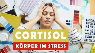 Vermeide diese Fehler bei Cortisol und Stress [upl. by Avik]