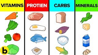 How The Six Basic Nutrients Affect Your Body [upl. by Kaile756]