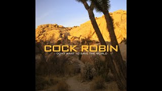 CockRobin  I DontWanttoSavetheWorld Full Album 2006 [upl. by Retxed]