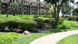 Kamaole Sands Condo Walk to Beach [upl. by Ajed504]