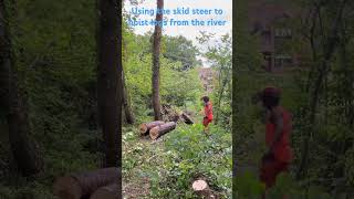 Using the skid steer to hoist logs from the river bigtimber farming treework arboriculture [upl. by Yrrep]