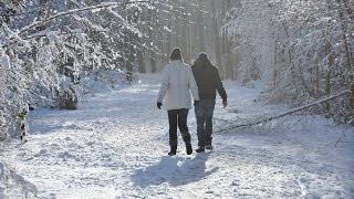 Weerberichtvrijdag Winter klopt op de deur [upl. by Tallbott]