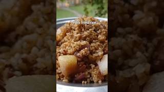 Spicy pork fried rice  Home made Spicy pork fried rice villagelife [upl. by Timothy]