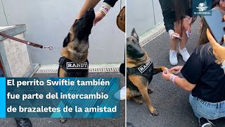 ¡Perrito Swiftie Randy el perro policía que robó la atención en conciertos de Taylor Swift [upl. by Wohlen]