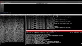 DNS Exfiltration POC [upl. by Nonnad219]