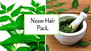 Neem Hair Pack  Neem Hair Mask  DIY  Dandruff Treatment  Philocaly [upl. by Pattison]