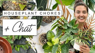 Trellising Repotting Moss Pole Making  Chatty Plant Chores 🌿 [upl. by Conrad]