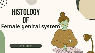 Histology of Female Genital System [upl. by Westerfield]