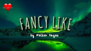 FANCY LIKE LYRICS by Walker Hayes [upl. by Rois]