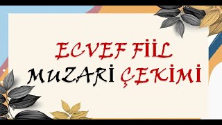 ECVEF FİİL MUZARİ ÇEKİMİ Detaylı Anlatım [upl. by Kcirdahs]