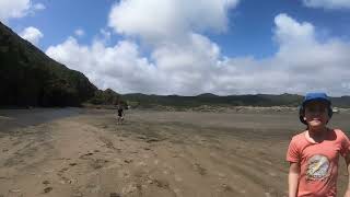 Exploring the stunning beauty of Bethells Beach part 3🌊✨ BethellsBeach NZAdventures BeachVibes [upl. by Meyers]