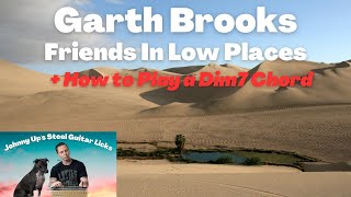 All Garth Brooks’ friends in low places can play dim7 chords Pedal Steel Guitar Lesson [upl. by Scheider329]