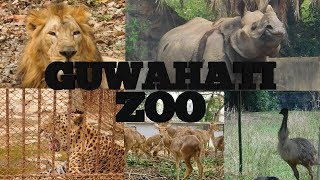 GUWAHATI ZOO  The Assam State Zoo and Botanical Garden  Manas Deka [upl. by Ellehcin]