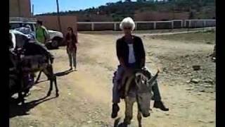 Donkey Riding Atlas Mountains [upl. by Pearla]