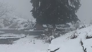 Manali current situation update 30 january  Manali live snowfall video live [upl. by Leamsi]