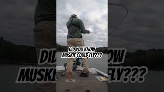 Did you know muskie could fly muskiefishing fishing [upl. by Merari996]