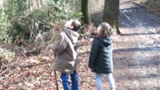 Bois des Bruneaux mars 2016 balade avec les petits enfants [upl. by Ahsaercal]