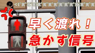 大分県仕様の早く鳴く信号機！絶対に早く横断しろ！～ピヨ編～音響式信号機 [upl. by Yun]