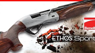 Thrushes birds hunting part 2 Benelli ethos sport [upl. by Jasen]