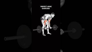 PERFECT ARMS WORKOUT armsworkout biceps triceps forearms fitness [upl. by Norga]