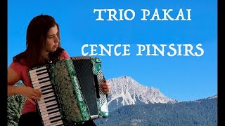 Trio Pakai  Cence Pinsirs Senza Pensieri Fisarmonica [upl. by Einaffit]