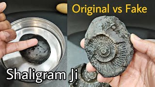 Original Shaligram Ji  Shaligram Ki Pehchan  Original vs Fake Test Shaligram Stone [upl. by Downes]