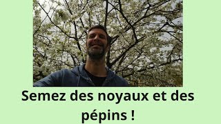 Semez des noyaux et des pépins  ça marche [upl. by Abe]