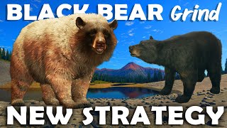 NEW STRATEGY is PERFECT for the BLACK BEAR Grind  Call of the Wild [upl. by Euqinahs]